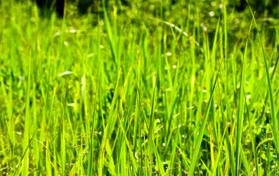 Similar image 954450