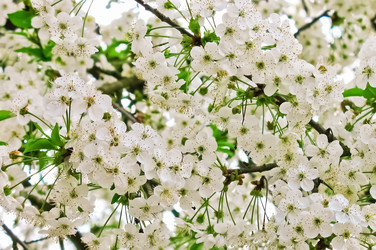 Similar image 954457