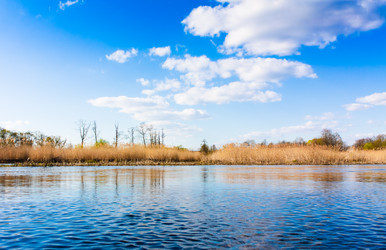 Similar image 954499