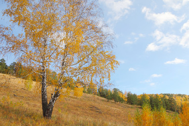 Similar image 954544