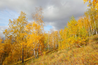 Similar image 954548