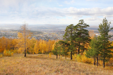 Similar image 954554