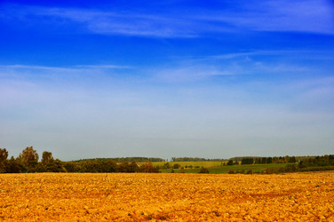 Similar image 954556