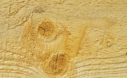 Similar image 954560