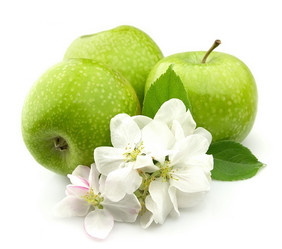 Similar image 954578