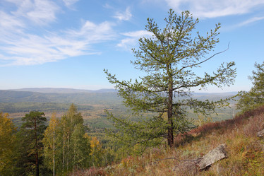 Similar image 954579