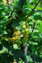 Similar image 954593