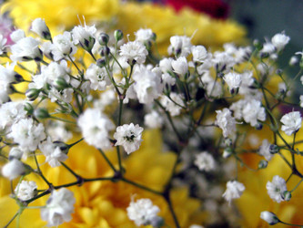 Similar image 954909