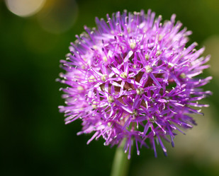 Similar image 954923