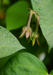 Similar image 954931