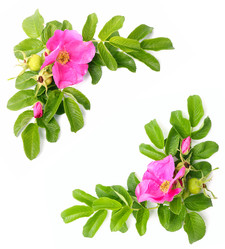 Similar image 954951