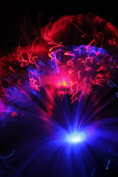 Similar image 954968