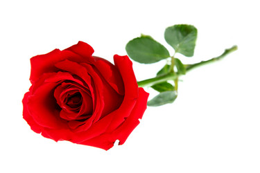 Similar image 955034