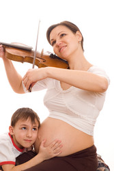 Similar image 955325