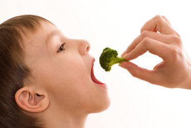 Similar image 955350