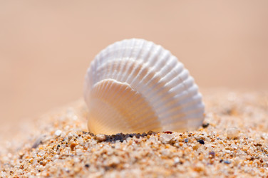 Similar image 955395