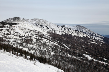 Similar image 955528