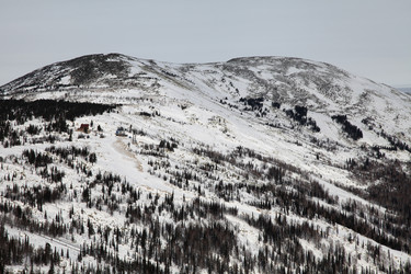 Similar image 955529