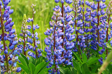 Similar image 955557