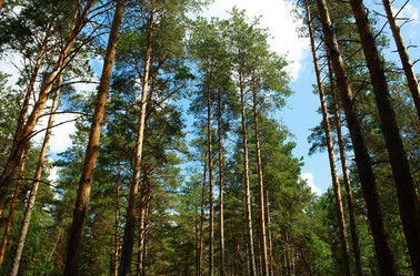 Similar image 955603