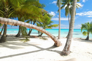 Similar image 955632