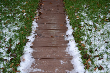 Similar image 955691