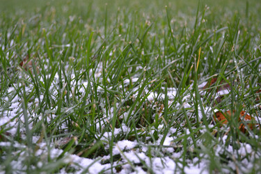 Similar image 955704