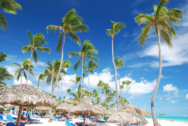 Similar image 955721