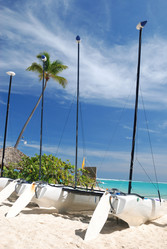 Similar image 955725