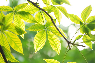 Similar image 955788