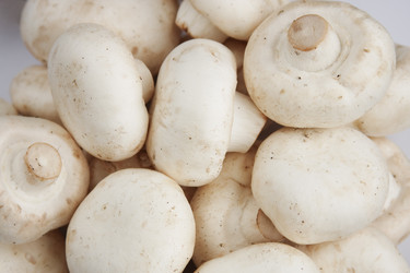 Similar image 955803