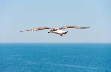 Similar image 955845