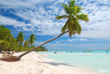 Similar image 955909