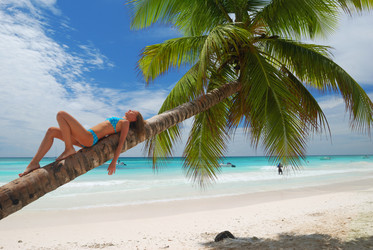 Similar image 955931