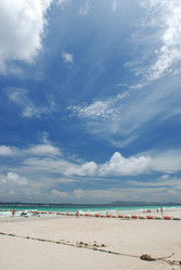 Similar image 955946