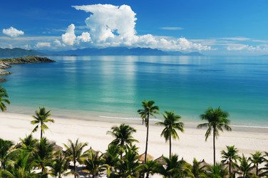 Similar image 955951