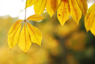 Similar image 955956