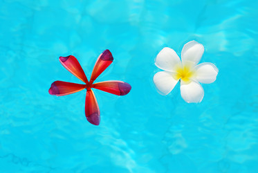 Similar image 955959