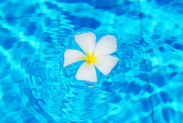 Similar image 956018