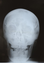 Similar image 956034