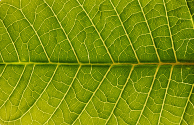 Similar image 956128