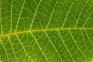 Similar image 956130