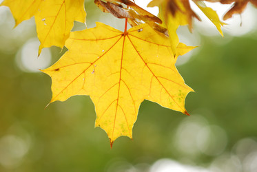 Similar image 956175