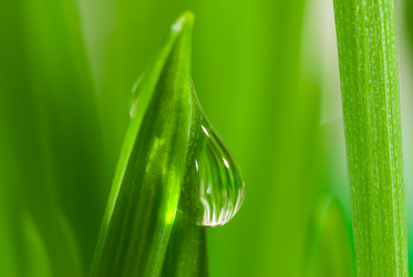 Similar image 956189