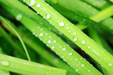 Similar image 956361