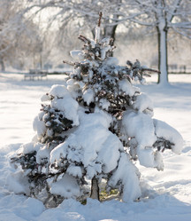 Similar image 956421