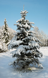 Similar image 956426