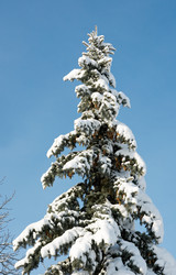 Similar image 956432