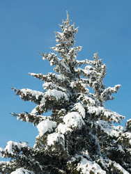 Similar image 956435