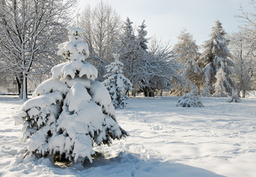 Similar image 956438